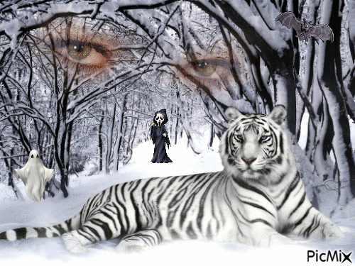 Spooky eye's on the tiger - 免费动画 GIF