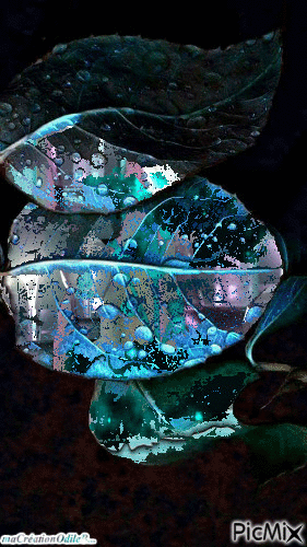 turquoise - GIF animado grátis