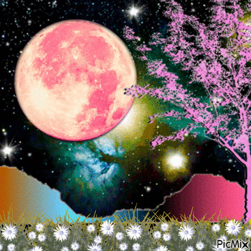 Pink full moon stars - GIF animé gratuit