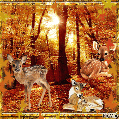 Waldtiere im Herbst - Gratis geanimeerde GIF