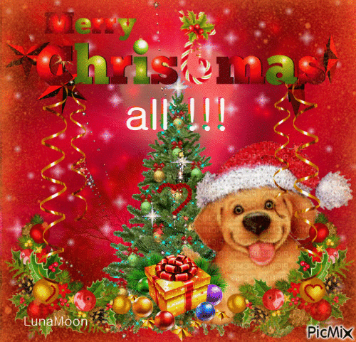Merry Christmas all !!!