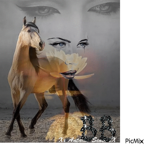 cheval et femme - Zdarma animovaný GIF