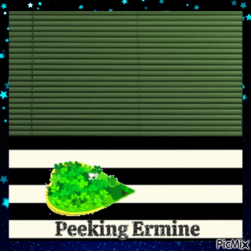 Peeking Ermine - Бесплатный анимированный гифка
