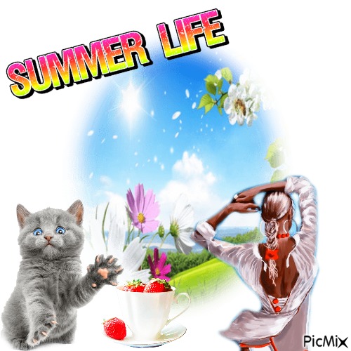 Summer Life - nemokama png