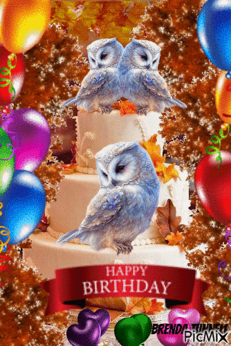 birthday owl - Δωρεάν κινούμενο GIF