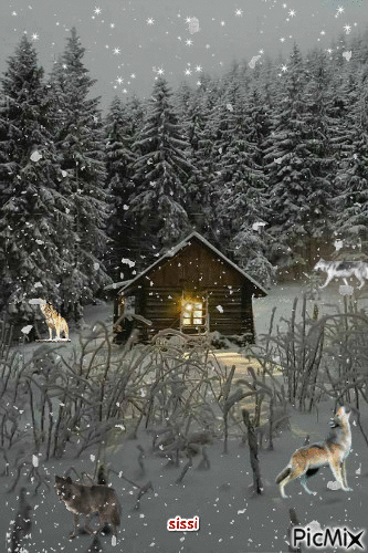 neige loups - Ücretsiz animasyonlu GIF