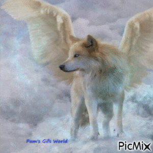 Angel Wolf in Clouds - Δωρεάν κινούμενο GIF