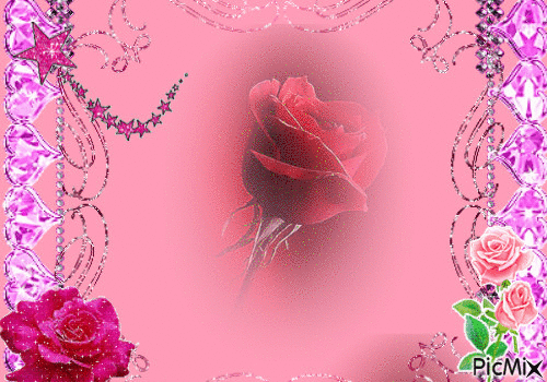 rose (fleur) - GIF animé gratuit