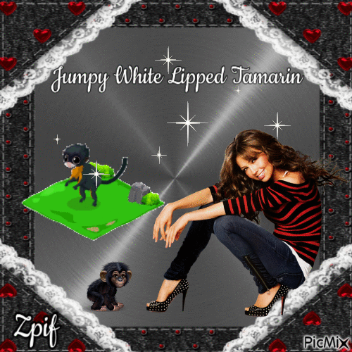 Jumpy White lipped tamarin - Gratis animeret GIF