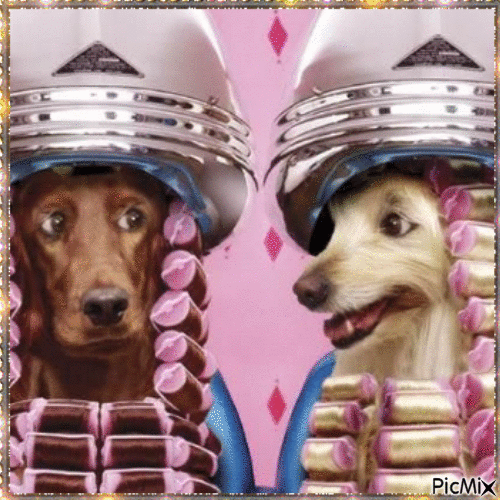 Toilettage pour chiens - Bezmaksas animēts GIF