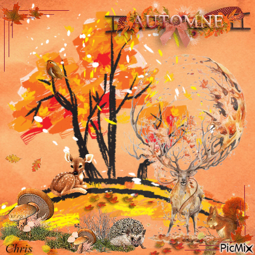 Les animaux  de la forêt en automne - Ücretsiz animasyonlu GIF