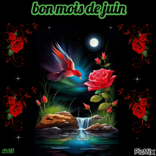 joli oiseau - Darmowy animowany GIF