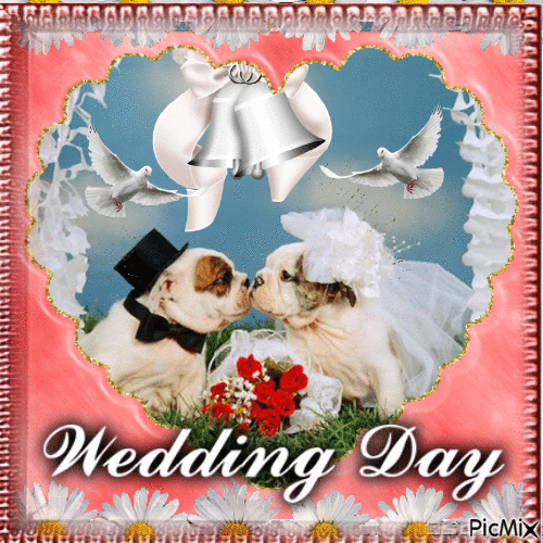 Bulldog Wedding Day - Безплатен анимиран GIF