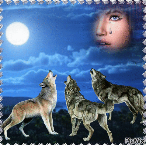 La nuit des loups - 免费动画 GIF
