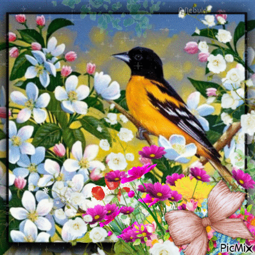 Bouquet of flowers and birds-contest - Besplatni animirani GIF