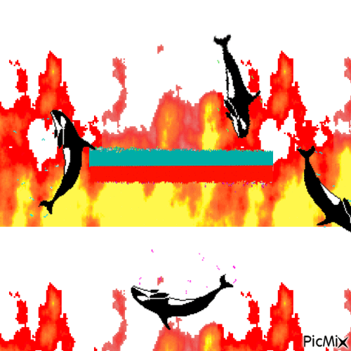 Friture de cachalot - Darmowy animowany GIF