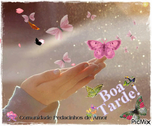 Boa tarde borboletas - Zdarma animovaný GIF