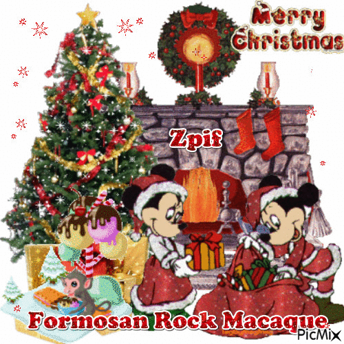 Formosan rock macaque - GIF animado gratis