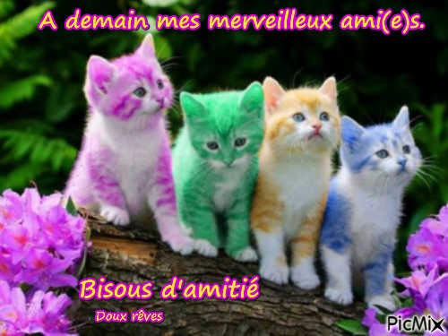 Les chatons - zdarma png