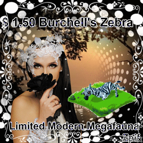 Burchell's zebra 1.50 - GIF animé gratuit
