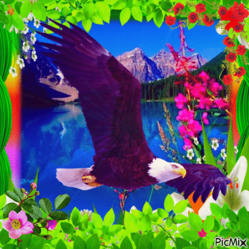 Magique nature - Free animated GIF