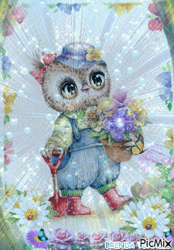 OWL BRING YOU FLOWERS - Free animated GIF