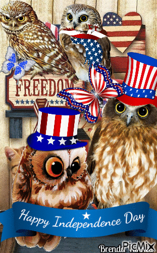 July owl - Безплатен анимиран GIF