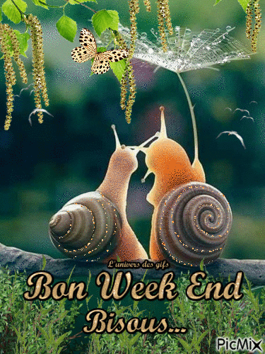 udg bon week end - Darmowy animowany GIF