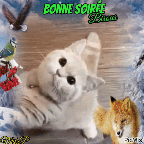bonne soiree - Ücretsiz animasyonlu GIF