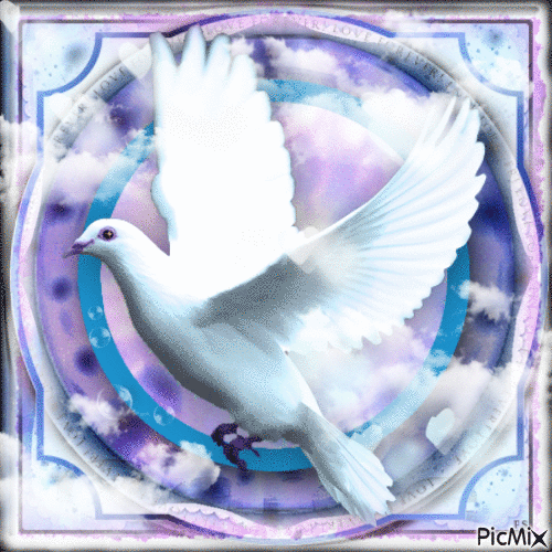 Dove, Peace - Animovaný GIF zadarmo