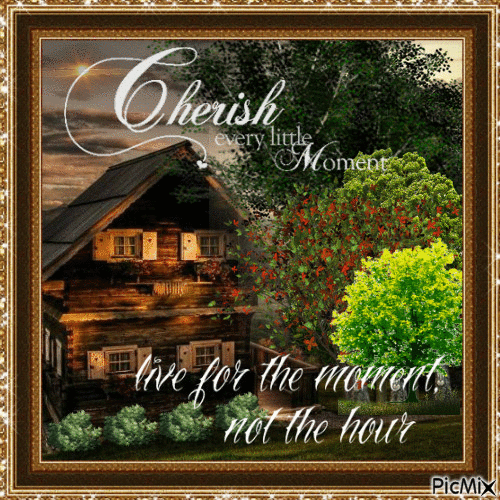 Cherish the little moments {Live} - Δωρεάν κινούμενο GIF