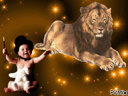 le lion et l'enfant - GIF animé gratuit