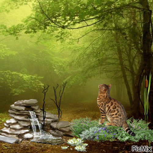 Cat in a special forest - GIF animado grátis