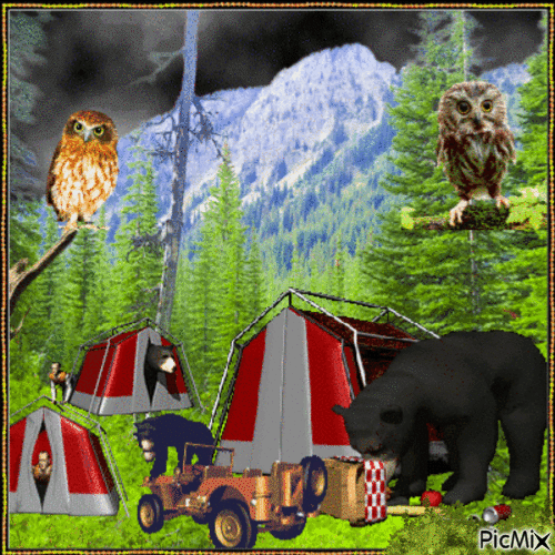 Encounter in the forest - Free animated GIF