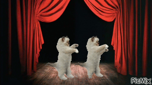 Gatti ballerini - Besplatni animirani GIF