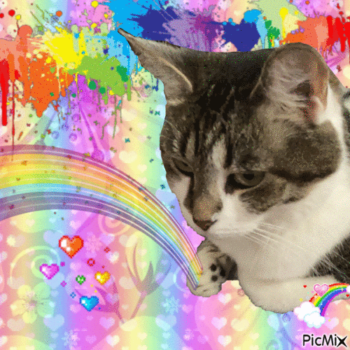 Luna throws you a rainbow - GIF animado gratis