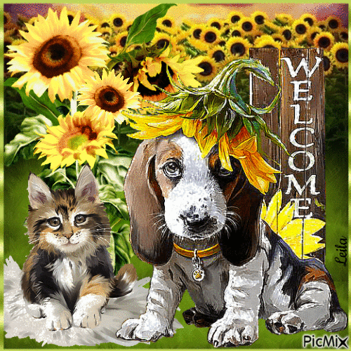 Welcome. Sunflowers, dog, cat - Besplatni animirani GIF