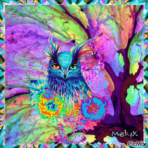 Multicolor owl - GIF animé gratuit