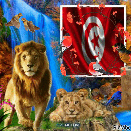 TUNISIA - Бесплатный анимированный гифка