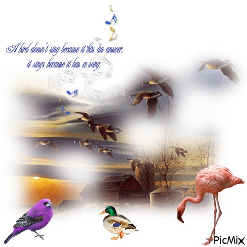 A Bird Sings Because It Has A Song - PNG gratuit