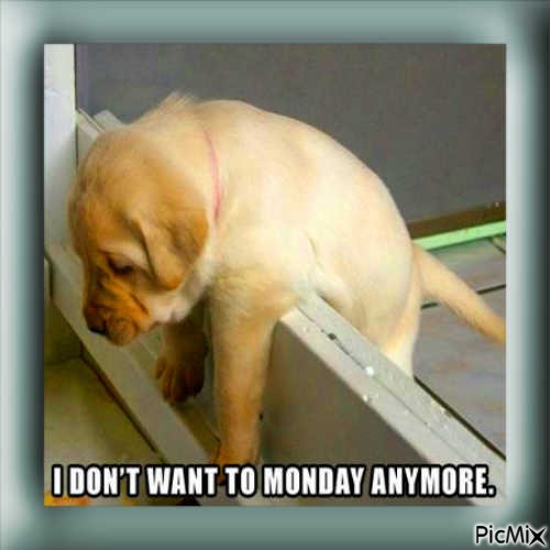 I Don't Want To Monday - nemokama png