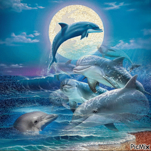 dauphins - Free animated GIF