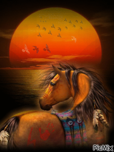 coucher de soleil cheval - Nemokamas animacinis gif