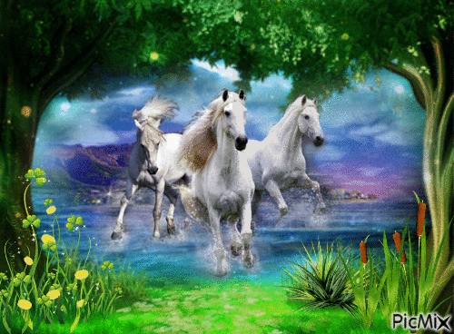 paysage chevaux - Besplatni animirani GIF