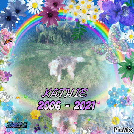 KATHIE - Zdarma animovaný GIF