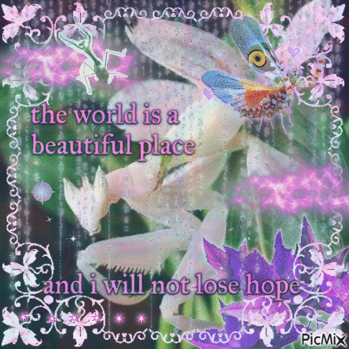 the world is a beautiful place - GIF animado grátis
