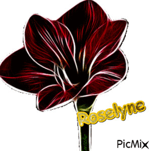ROSELYNE - GIF animé gratuit