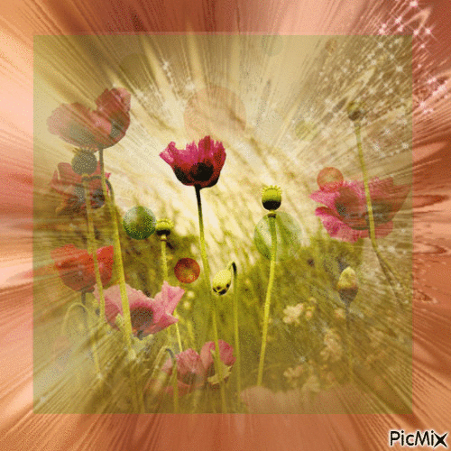 belle journée- beautiful day - Free animated GIF