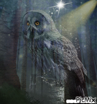 OWL FANTASY 12 - 無料のアニメーション GIF