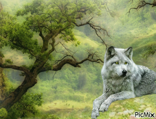 Amazing Wolf - Ücretsiz animasyonlu GIF